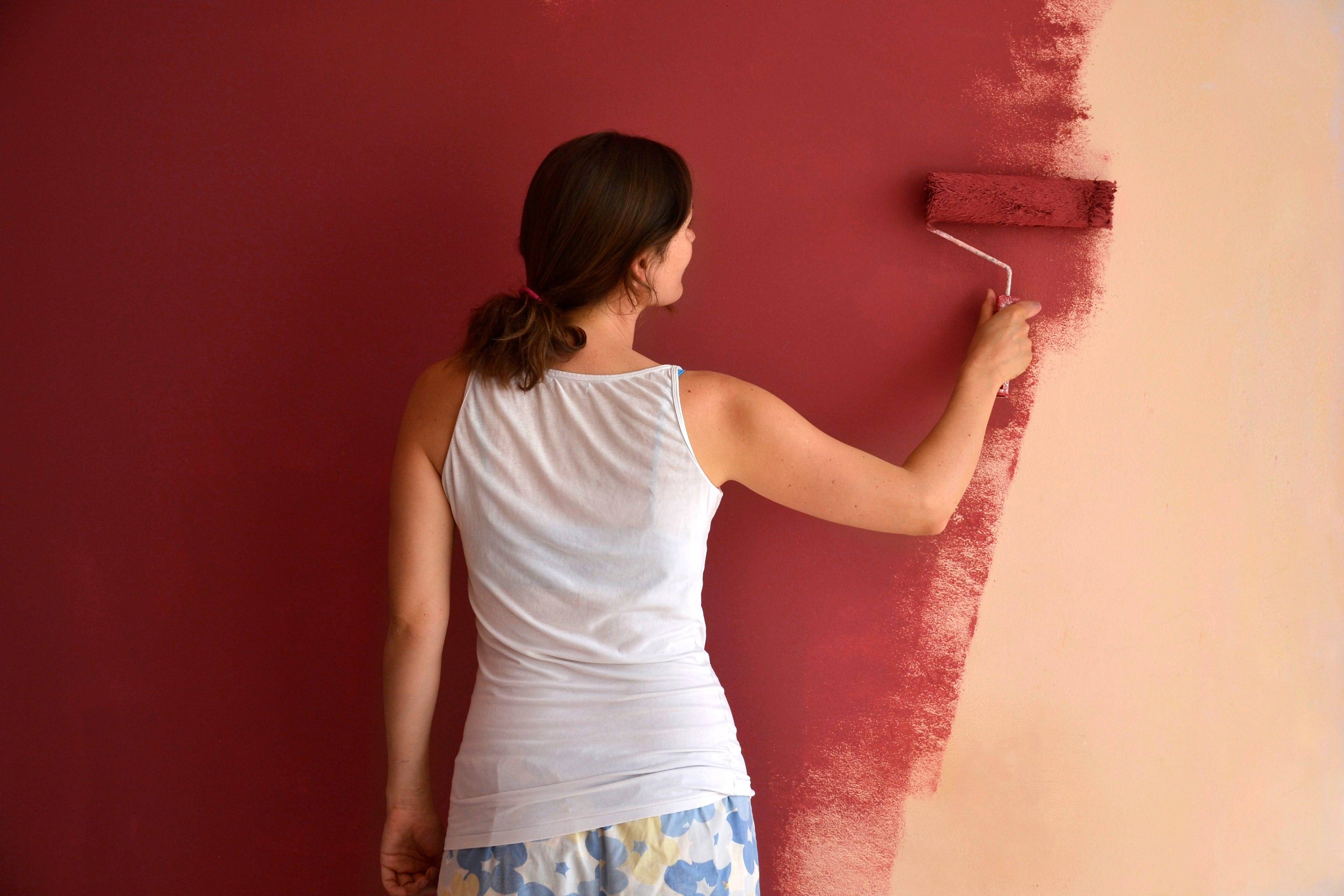 Что лучше краска или обои для стен: советы профессионалов