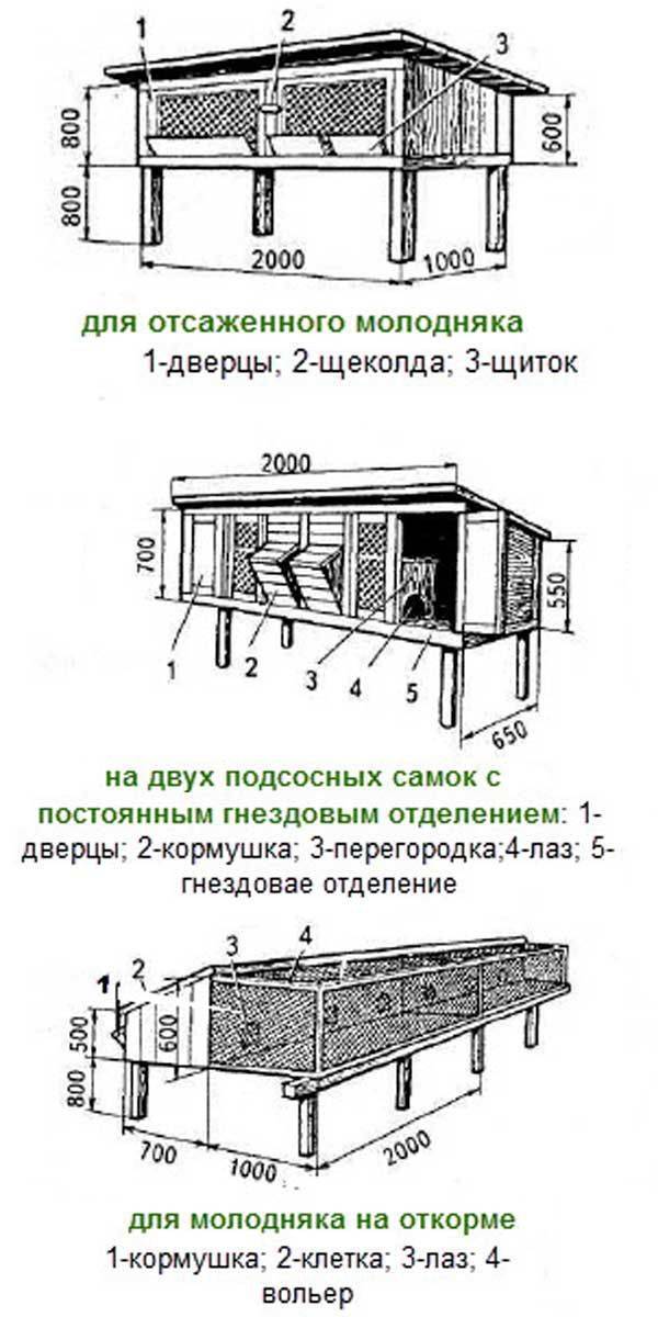 Схема как построить клетку для кроликов