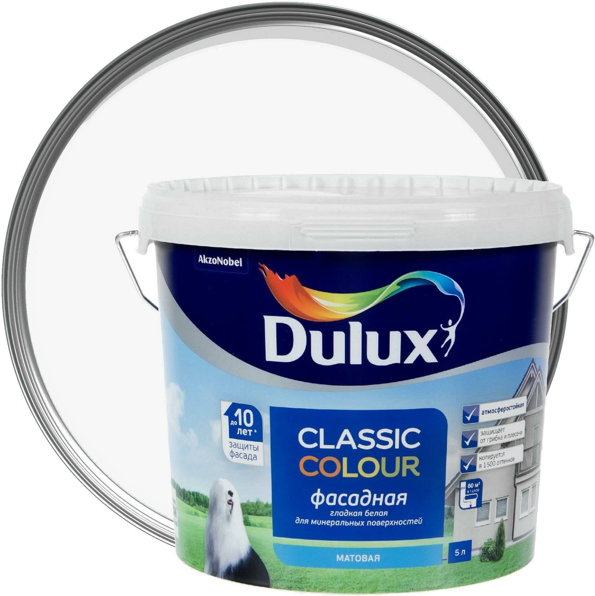 Чем покрасить стены: 2 краски dulux, на которые стоит обратить внимание