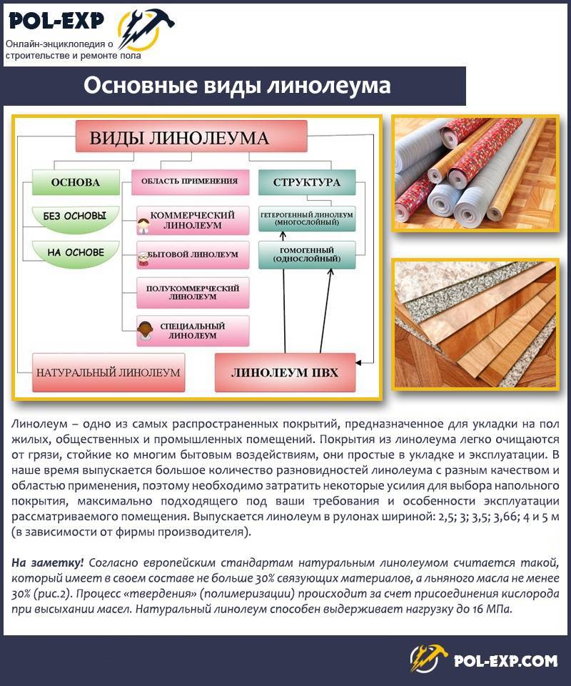 Виды линолеума для пола, его характеристики и назначение
