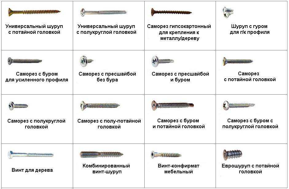 Разновидности саморезов и сфера их применения