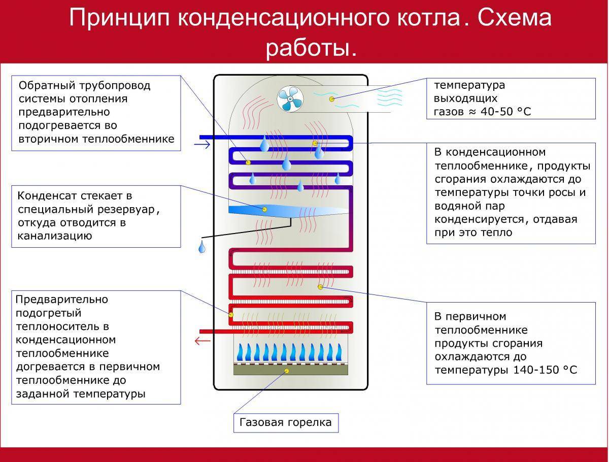 Виды конденсационных котлов, их преимущества и критерии выбора