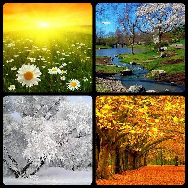 Какое время года лучше зима или лето?