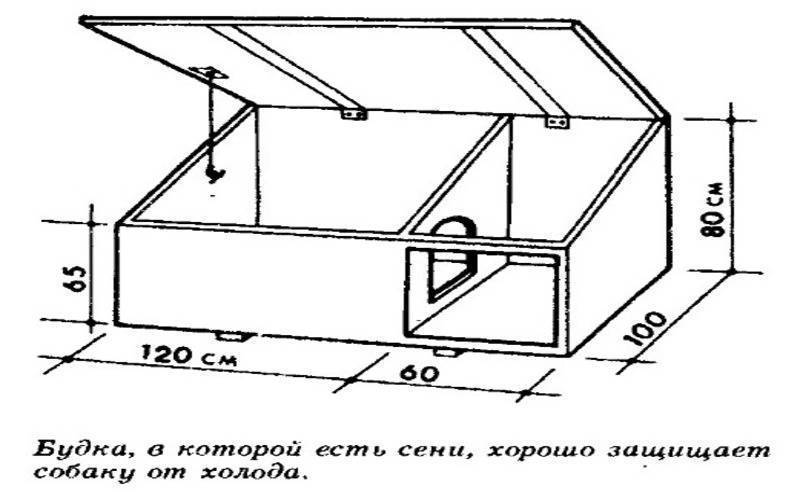 Будка для собаки своими руками: чертежи с размерами - строительство и ремонт