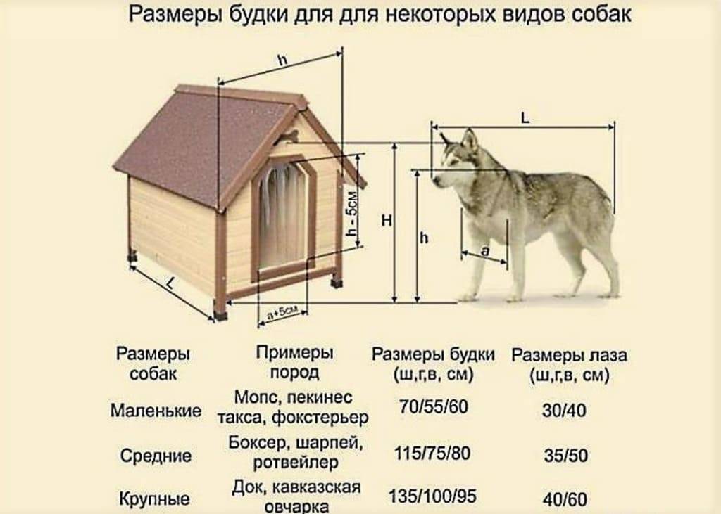 Правила проектирования и строительства вольера для собак своими руками
