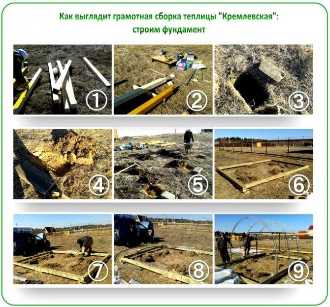 Теплица «кремлевская сказка»: как не купить подделку
