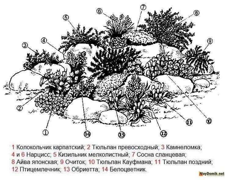 Альпийская горка своими руками на маленьком участке: важные моменты