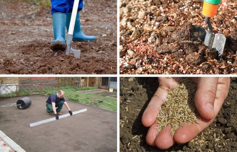 Подготовка участка под газон и посев травы: как вывести сорняки и подготовить землю