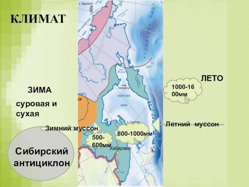 Климат россии - типы, общая характеристика и особенности распределения