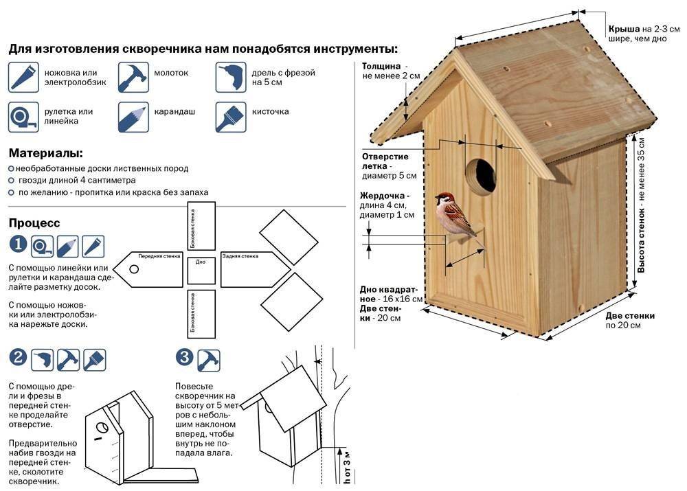 Выбор и основания проекта скворечник