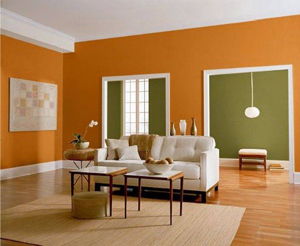 В какой цвет покрасить стены: советы по выбору краски и подготовке поверхности