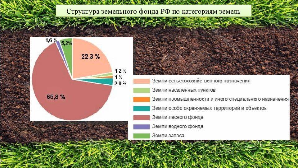 Структура земельного участка. Структура земельного фонда РФ 2017. Структура земельного фонда РФ 2020. Структуразеиельного фонда. Какова структура земельного фонда России.