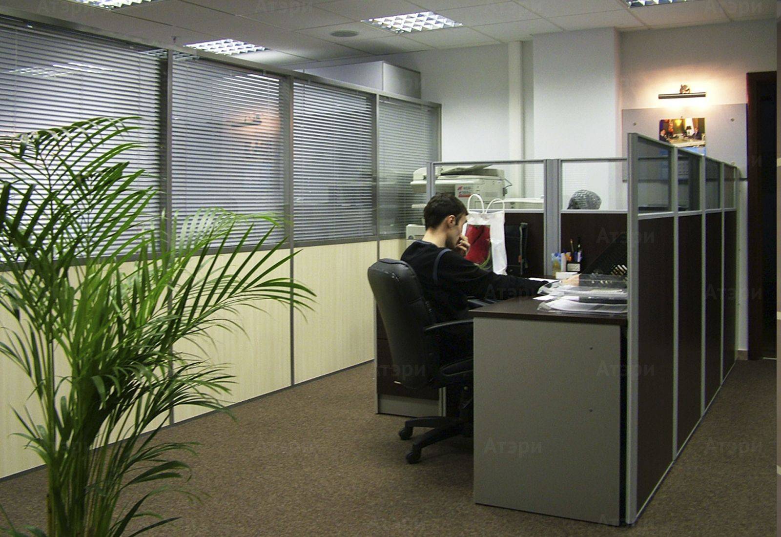 Каких видов бывают офисные перегородки? | bizcentr - бизнес журнал