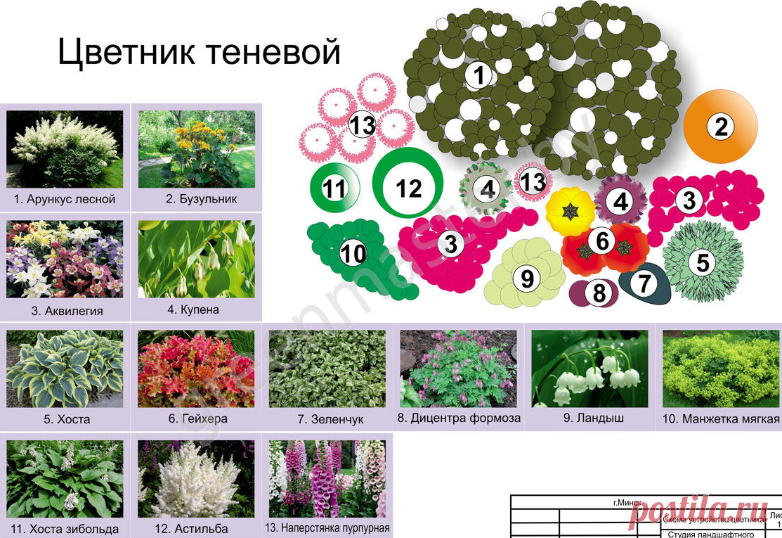 Сад непрерывного цветения схема