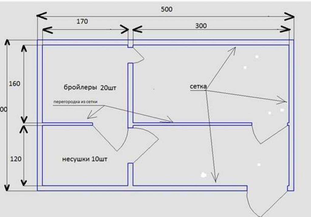 Проект курятника на 10 кур чертежи зимний вариант