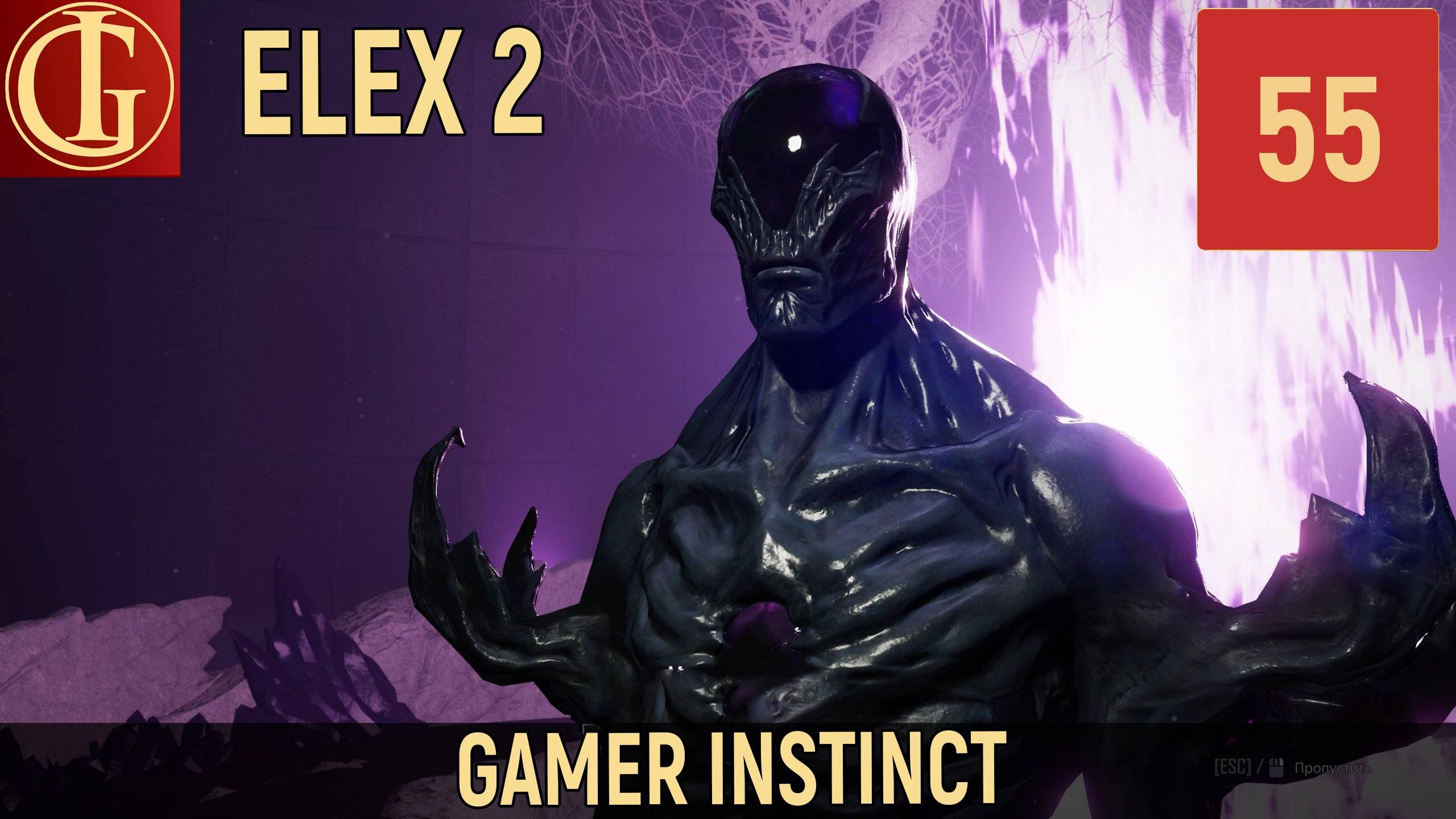 Профиль elex или rehau: что лучше?