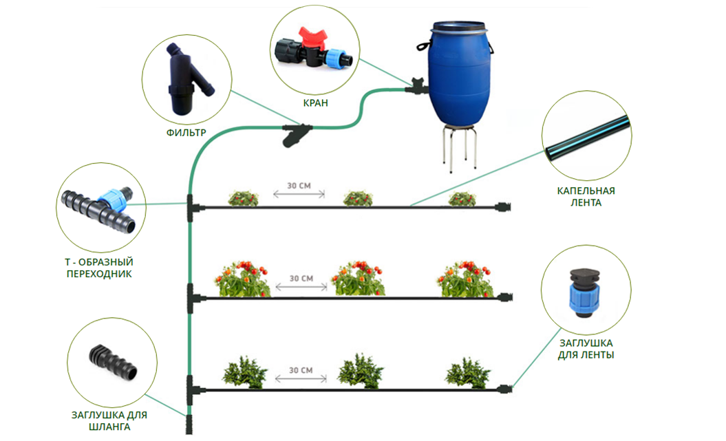 Капельный полив в теплице: автоматическая система полива в парнике, поливка растений своими руками, устройство, схема