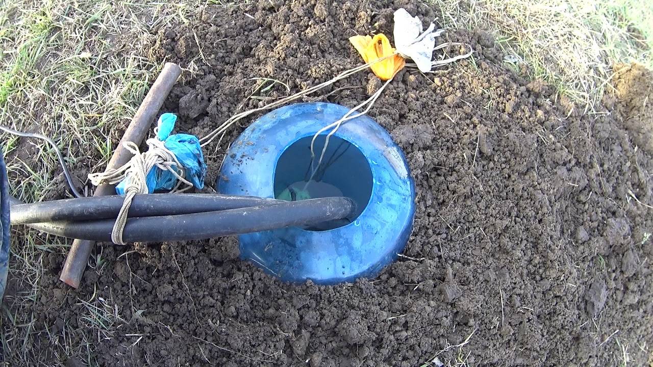 Краткое руководство как избавиться от крота в огороде