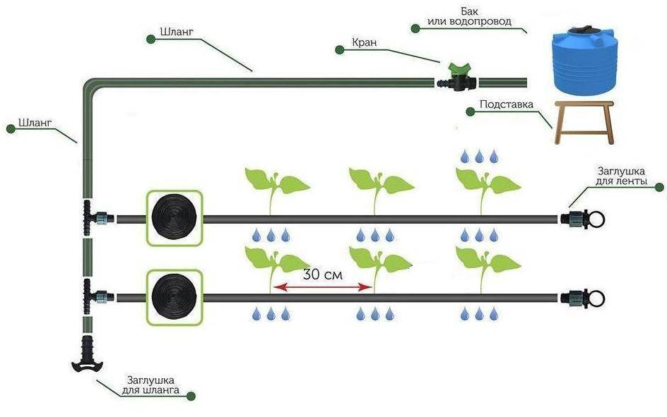 Подробная схема капельного полива