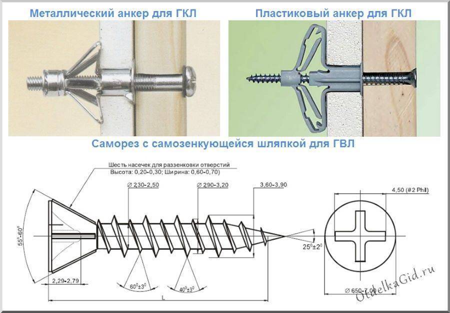 Гкл и гвл: в чем разница?