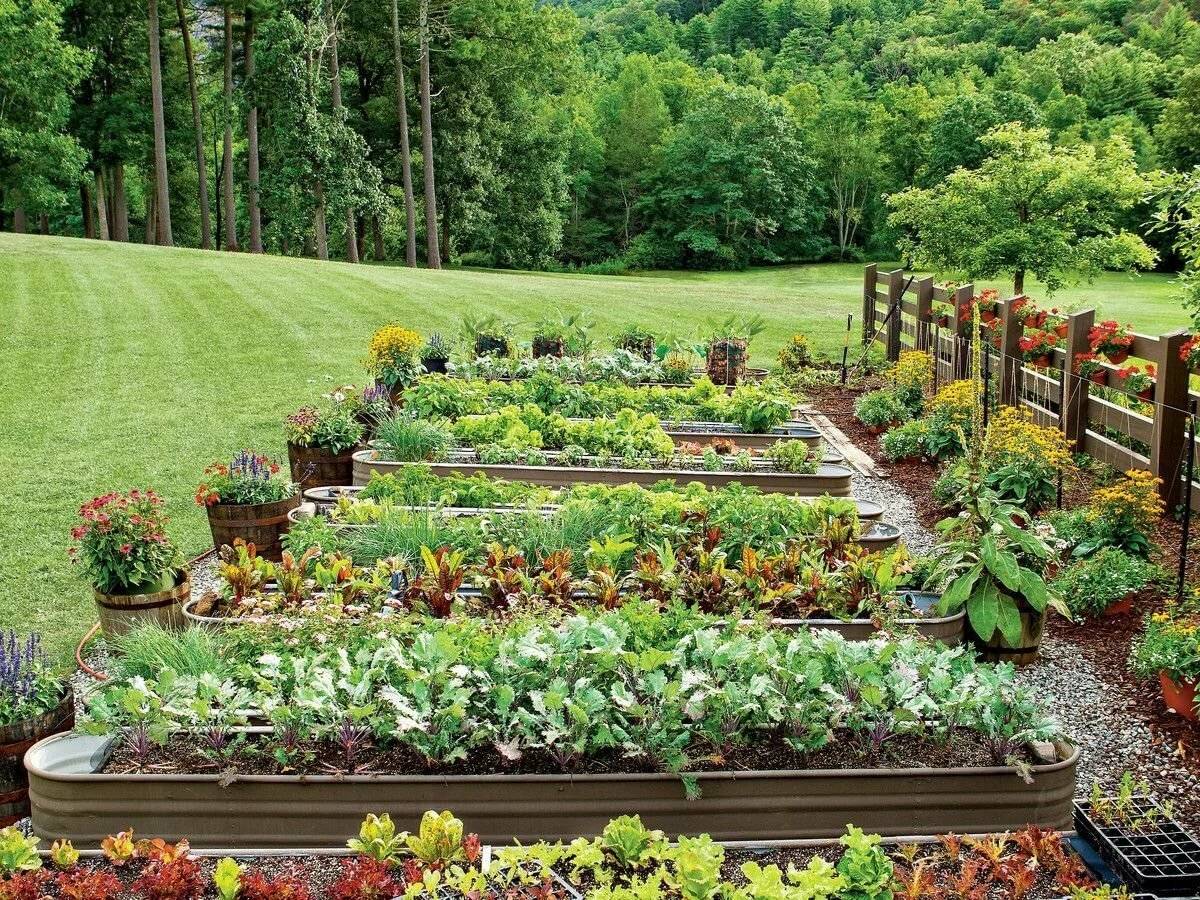 Декоративный огород: делаем красивые грядки — 60 фото