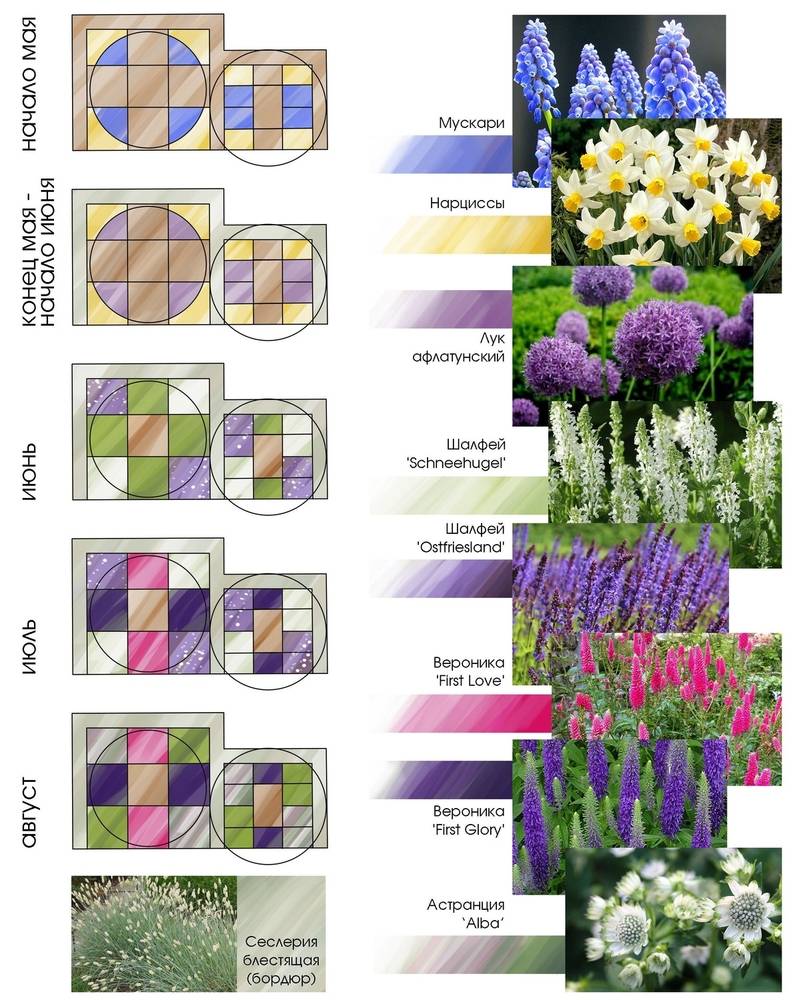 Цветник цветущий с весны до осени схема