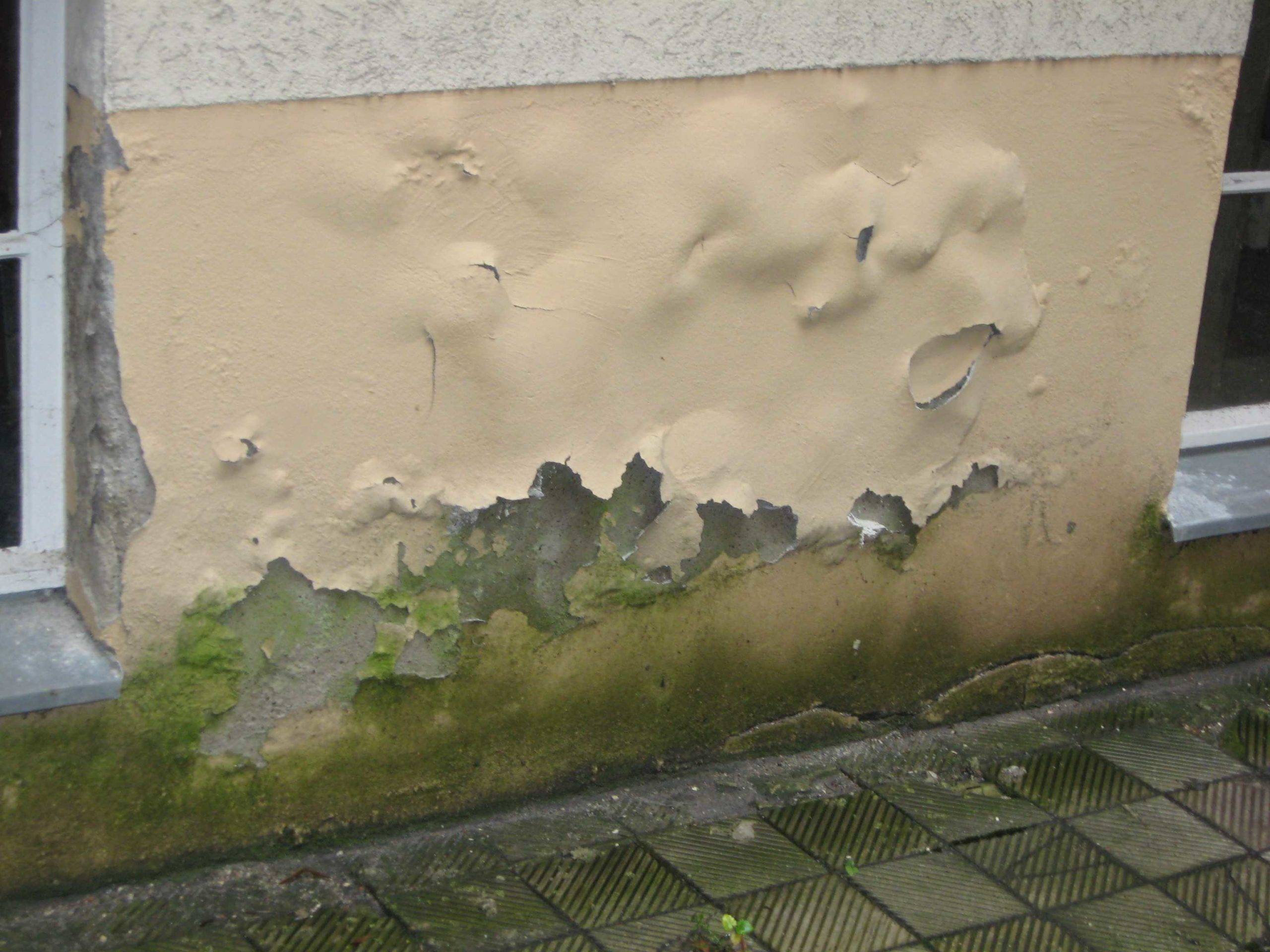 Ремонт штукатурки: причины дефектов стен, заделка трещин, технология устранения осыпаний, плесени и высолов