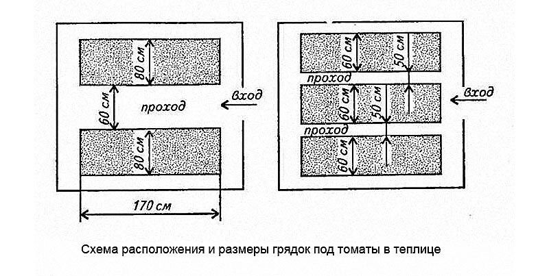 Оптимальный размер грядок. Схема высадки томатов в теплице 3х6. Схема посадки томатов в теплице 3х6 в 2 ряда. Схема посадки томатов в теплице 3х6 в три ряда. Схема высадки томатов в теплице 3.
