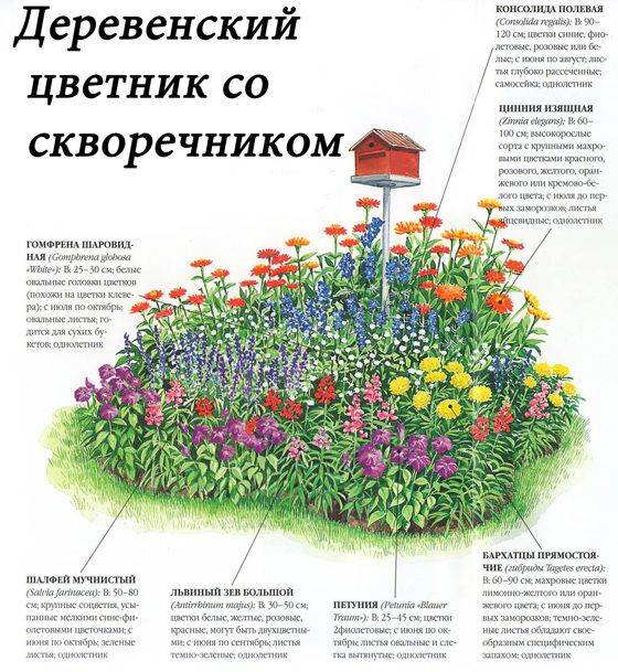 Клумбы и цветники из многолетних цветов своими руками