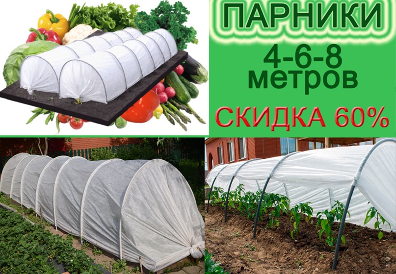Парник «подснежник»: особенности и правила установки