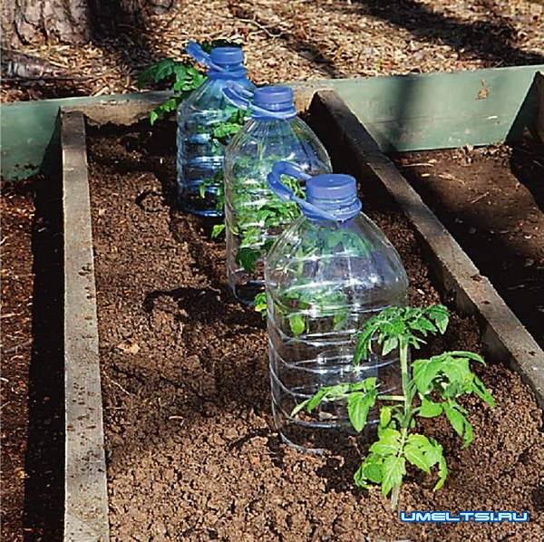 Капельный полив из пластиковых бутылок своими руками - лучшие варианты!