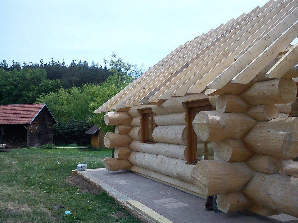 Строительство домов из бревна: как построить недорогой и экологичный дом
