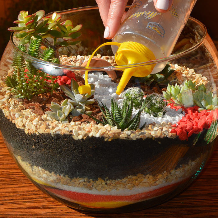 Как сделать флорариум своими руками для начинающих, и что для этого нужно: выбор растений и декоративных камней, оригинальные идеи необычных флорариумов с пошаговой инструкцией