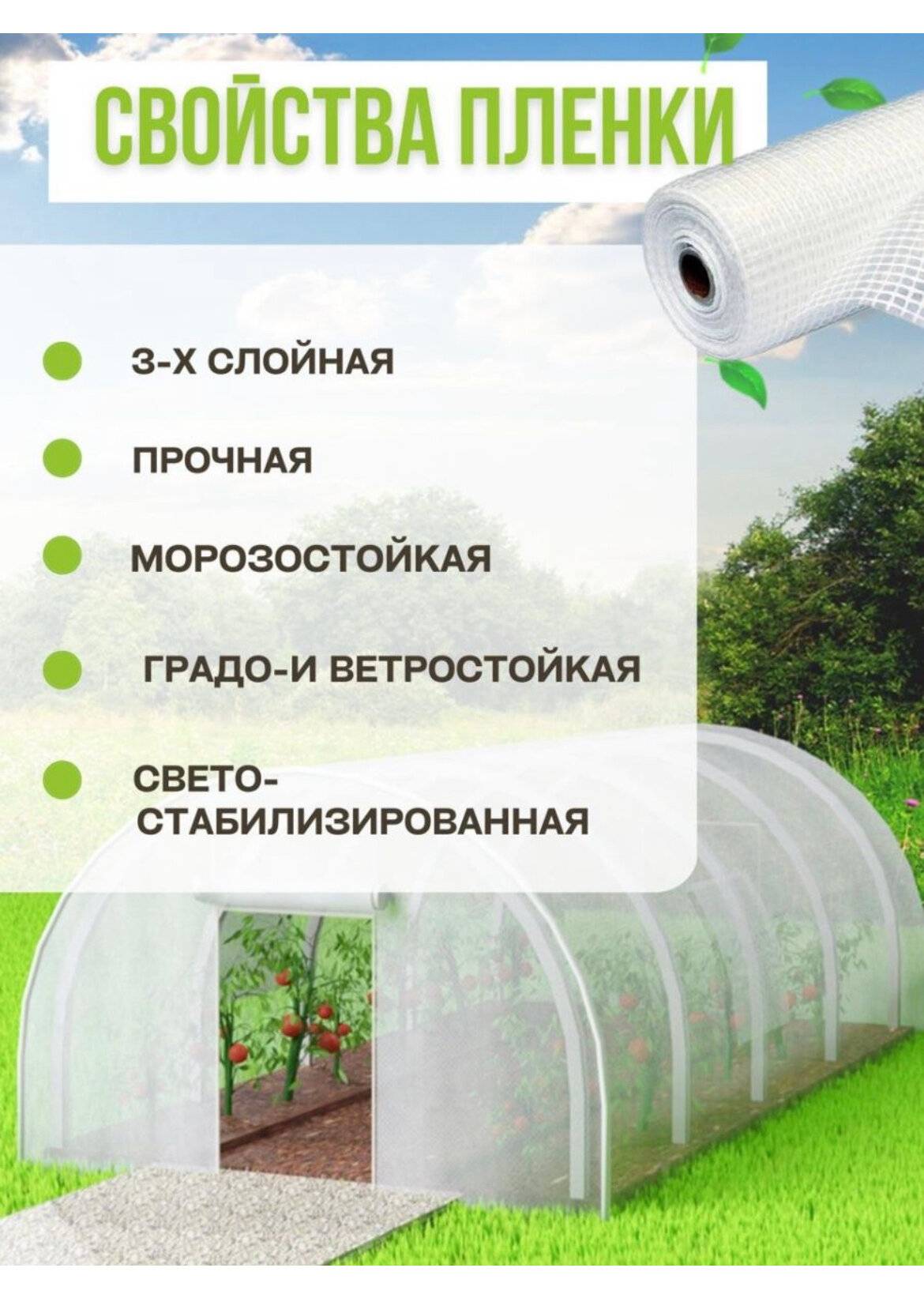 Армированная пленка для теплиц: особенности, как выбрать, как накрыть каркас, инструкция, как устранить дефекты, отзывы