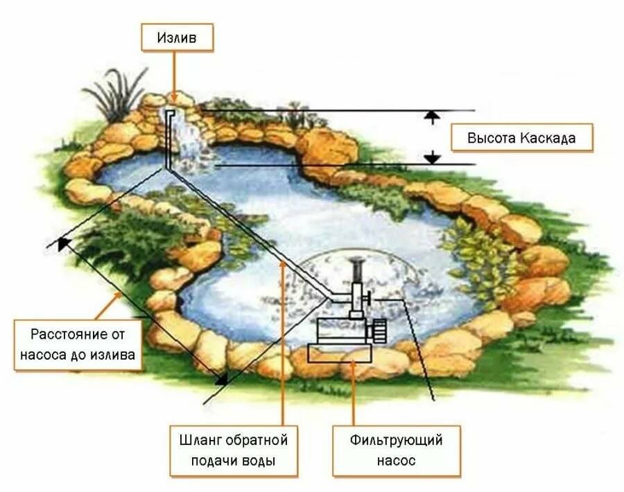 Пруд на даче: виды и назначение искусственных водоёмов, советы по созданию домашнего озера своими руками