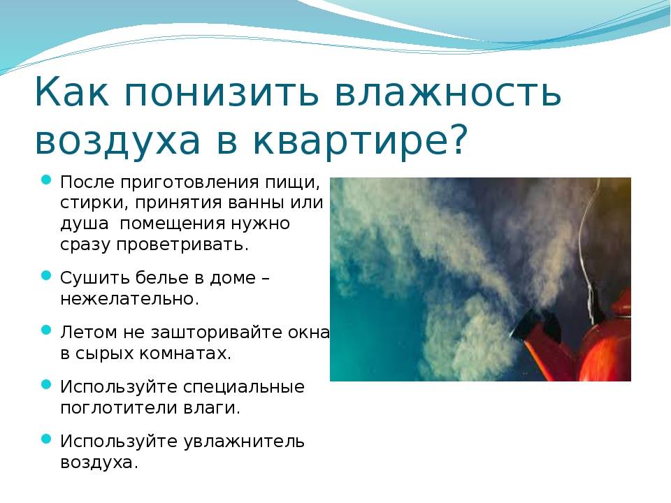 Как уменьшить влажность в квартире: способы и советы