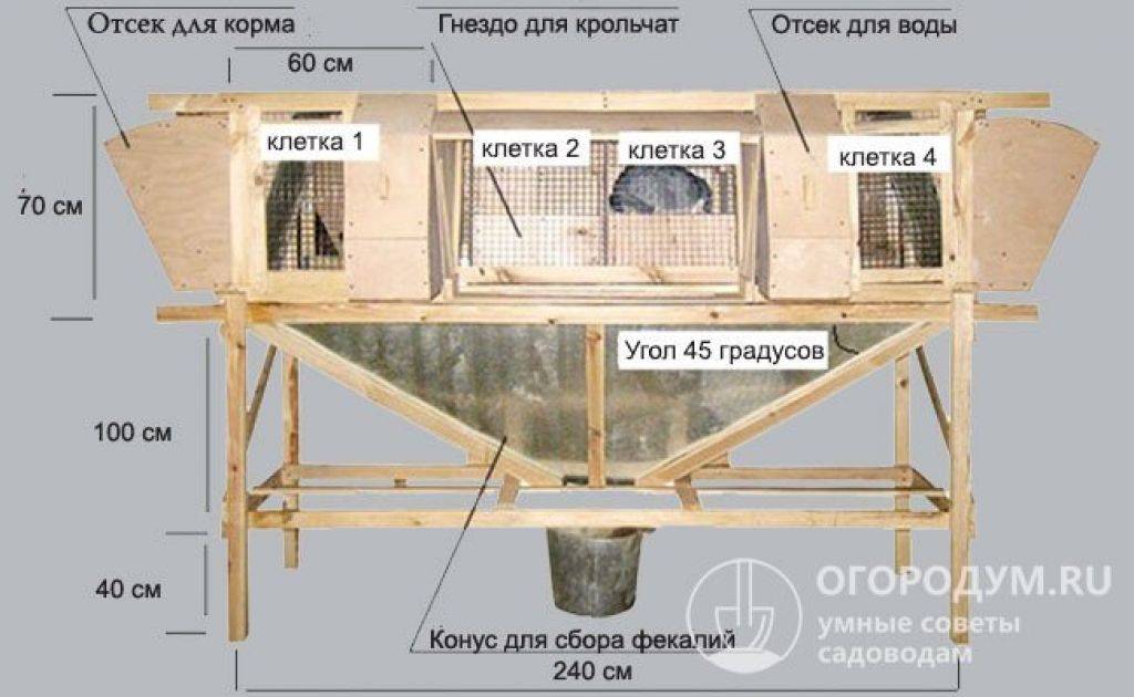 Клетка для крольчат своими руками чертежи и фото