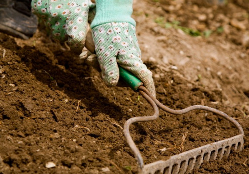 Обработка почвы весной перед посадкой. Удобрение почвы. Известковать почву. Внесение удобрений в почву. Известкование почвы.