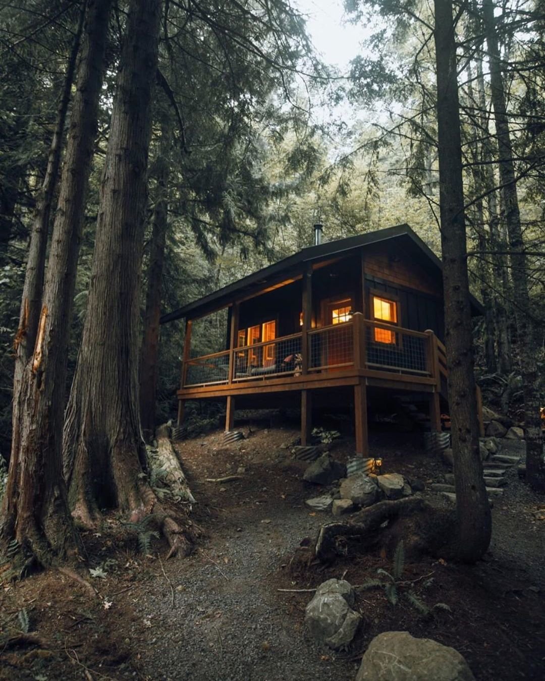 Дом в лесу: какой стиль лучше выбрать? 230+(фото) душевного уединения и комфорта. а что понравится вам?