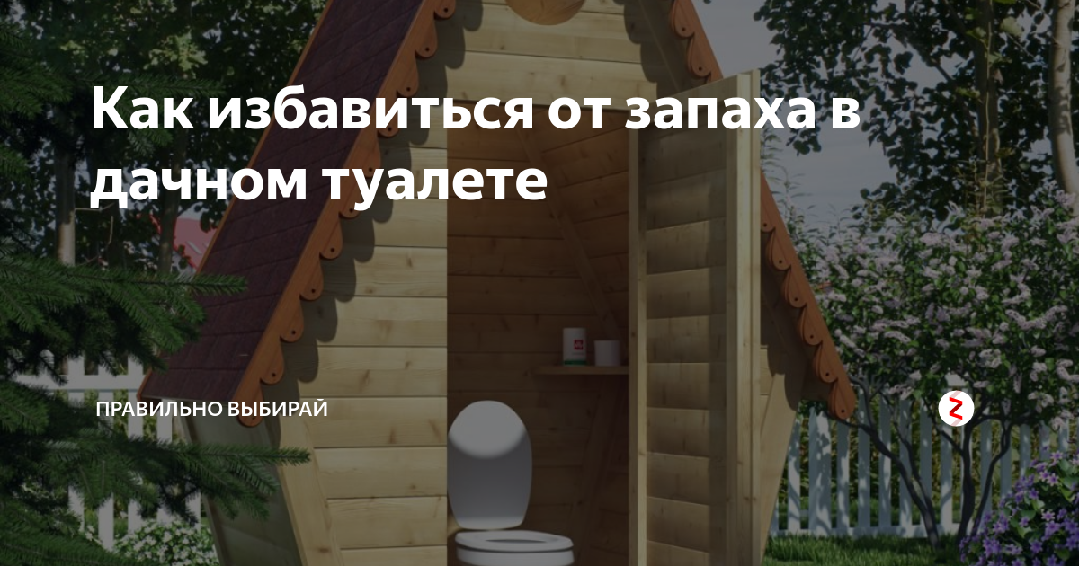 Воняет уличный туалет. как почистить деревенский туалет своими руками?