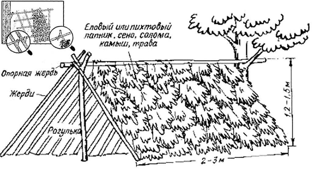 Чертеж домика в лесу