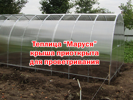Теплица «кормилица-умница»: преимущества и недостатки