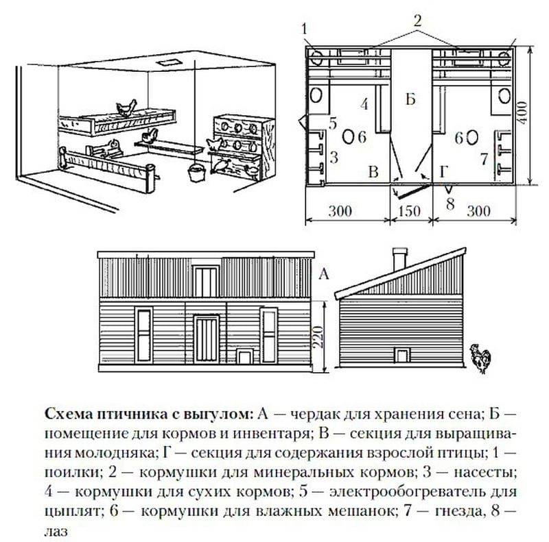 Схема курятника на 5 кур схема